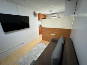 Condo in Pasig - One Oasis Staycation